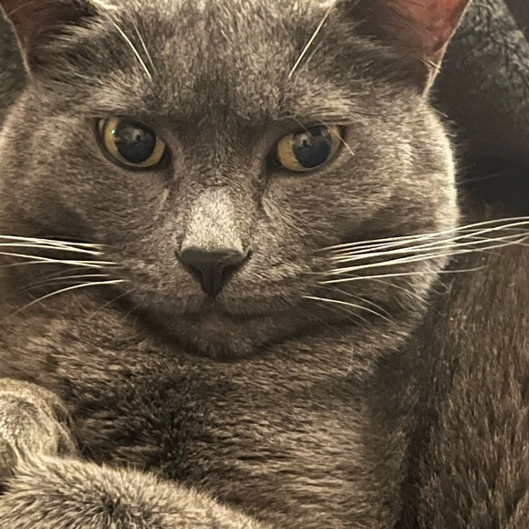 POSH AMBASSADOR 2 & suggested user.. 😊 - Picture 4 of 17